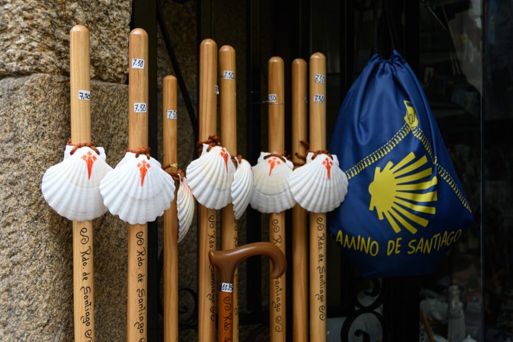 a group of baseball bats