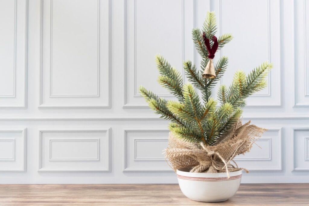 A small christmas tree in a bowl on a table